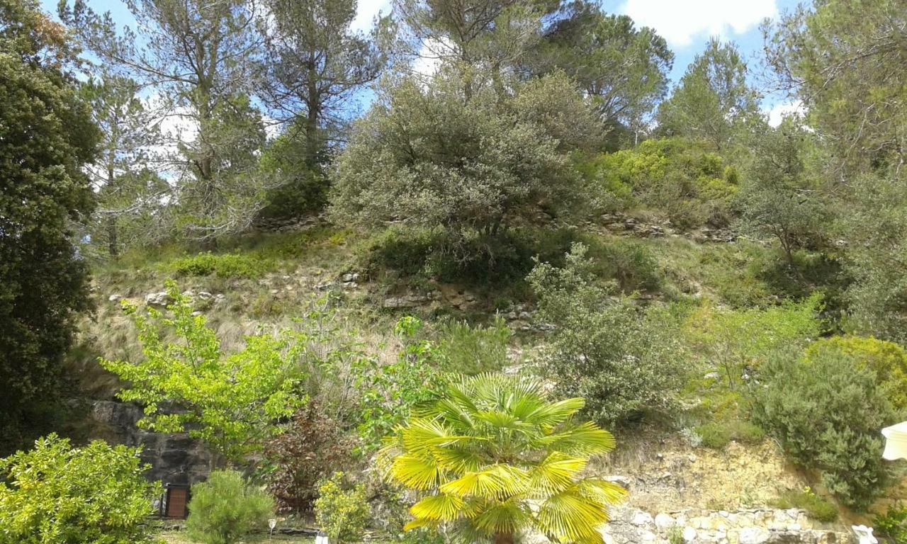 Gite Sud De France-Carcassonne Chez Lea Aragon Exterior photo